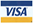 visa card